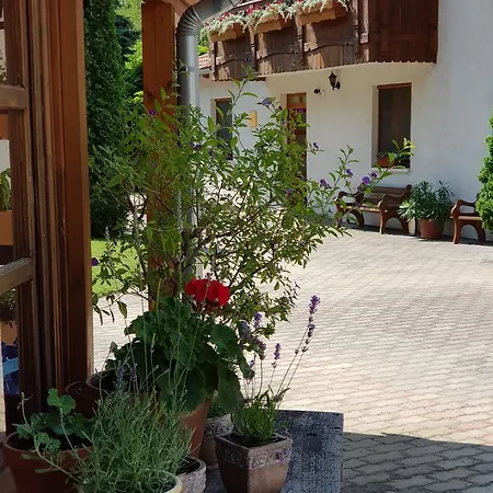 Sommer Panzio 住宿加早餐酒店 3*