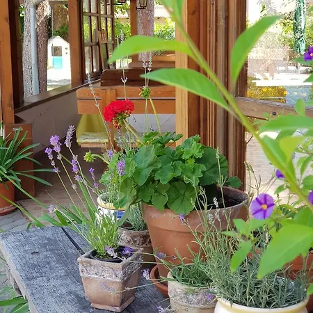 Bed & Breakfast Sommer Panzio