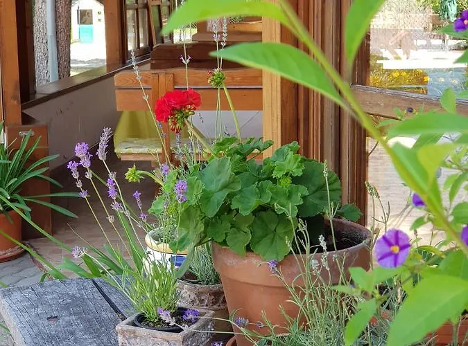 Frühstückspension Sommer Panzió